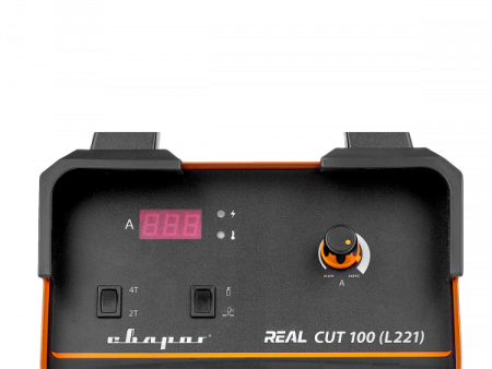 real_cut_100_l221_s