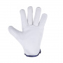 aau5rz9tgboa338grhnm78eb1rfbfb0g